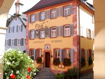 Foto: Ochsen